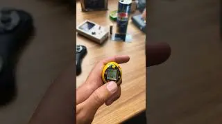 А у вас был тамагочи? Юбилейный Pac-Man #тамагочи #ретроигрушки #gaming #retrogaming #bandai