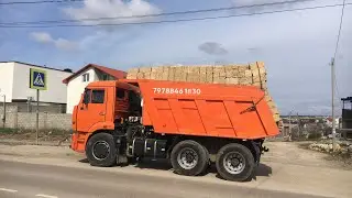 Ракушечник, доставка