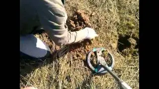 РАСПАШКА МОНЕТ!!!