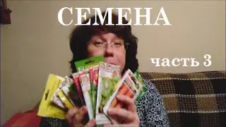 Семена. Часть 3. Сельский час