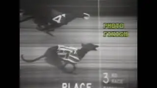 1988 The Greyhound Racing Show - Raynham/Taunton Greyhound Park (4 episodes) Betamax