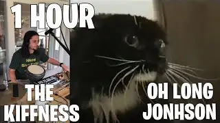 1 HOUR Oh Long Johnson x The Kiffness Talking Cat Live Looping Reggae Remix