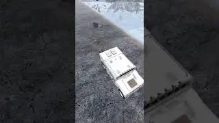 Волк Акробат