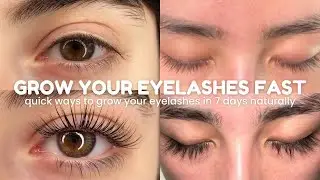 how to grow your eyelashes FAST & NATURALLY in just 7 Days! 🧸🎀