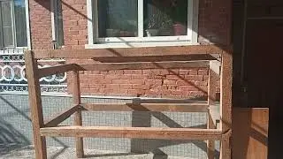 начало новой клетки положено помогает мне папа.