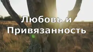 Любовь и Привязанность