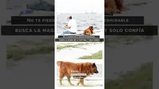 “Fact” Fotografía Principiantes 