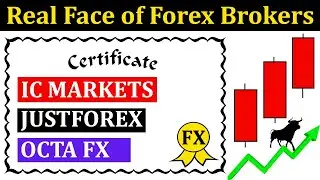 Real Face of Forex Brokers OCTAFX JUSTFOREX ICMARKETS