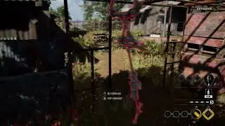 Bubba Spawns Outside of Basement and Invisible - Texas Chainsaw Massacre Game