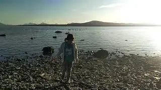Flamencos