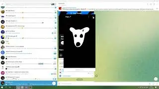Получаем токены Dogs абсолютно бесплатно! Хороший Аирдроп!