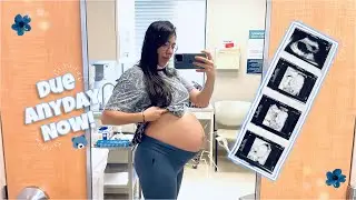 PREGNANCY UPDATE || Doctors Appointment || Baby Clothing Haul