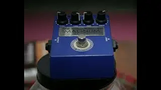 Amt Tube Magnum direct  jamming