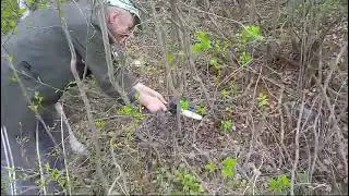 2024 5 3 Сучкорез