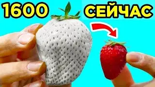 Еда, Которая Раньше Выглядела Иначе