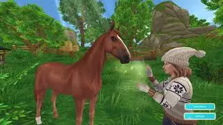 Meet Peacelily | American Saddlebred | SSO Horses