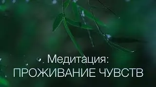 Медитация: проживание чувств