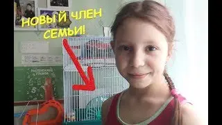 Пополнение в нашей семье/Новый питомец VLOG #YuliaChannel