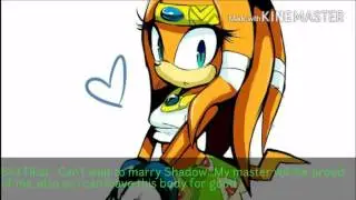 ShadAmy Love Story Part 20 1/2