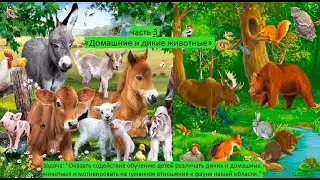 Домашние и дикие животные