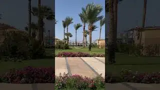 #hiltonhotel #egypt #hurghada #hurghadaegypt