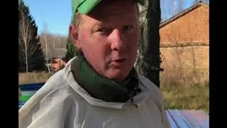 Выемка мёда 2019