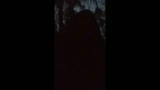 Выживание для чайников. Для чего нужен фонарь.