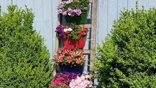 jardines en escaleras #jardines #ideas