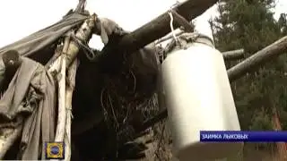 Агафья Лыкова