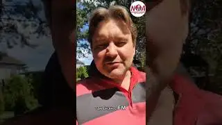 Лидерство. Как создать и применить позитивное мышление #ДенисНежданов #БизнесТренер