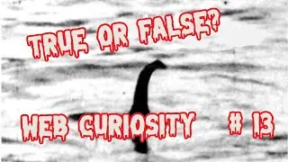 Misteri dal web #13-   Creatura Marina misteriosa!!!!