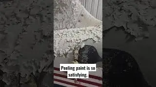 Peeling Paint is so Satisfying!