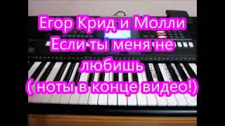 Егор Крид и Молли Если ты меня не любишь Обучение! Ноты!