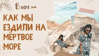 Едем, плаваем, хрустим, не грустим. 5 верблюдов))