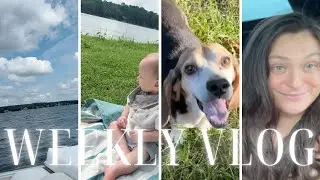 Two failed vacations | New dog adoption