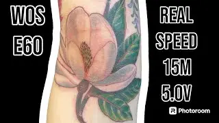 Semi Colour Realism Tattoo, Magnolia Flower, Real Speed