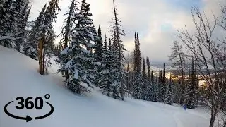 Дикий зимний лес - 360° VR Видео - Природа - 360 degree video -Горы Алтая