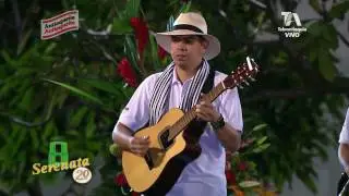 El pájaro amarillo - Los Milindrinos