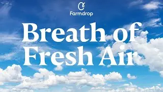 Farmdrop's Breath of Fresh Air