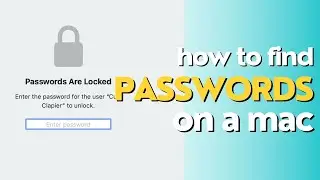 How to Find Your Passwords | Teach Mom How