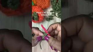 Crochet Spring, Spiral or Curly