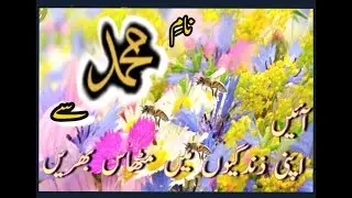 Fazeelet E Darood E Pak
