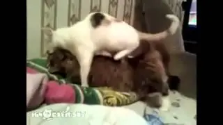 Почти завел