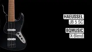 Haeussel JB 5 SC + BQMusic X-Blend - Maruszczyk Elwood 5a 35”