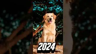 2024 dog 🐶 vs 5000 BCE dog 🐕 💥💥 #viral #shorts