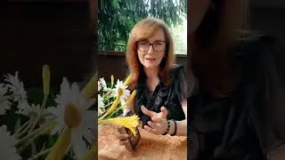 Таро расклад 