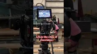 Life is like a box of chocolates…