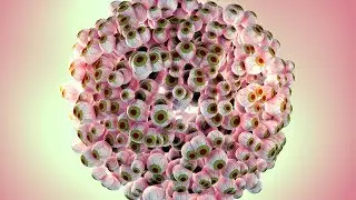 Let’s Create a Sphere of Creepy Eyeballs with Trapcode TAO in After Effects
