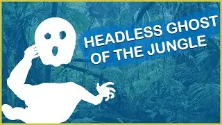 Headless Ghost of the Jungle - Predator: Hunting Grounds