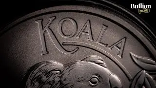 It's Kilo Koala Release Day!